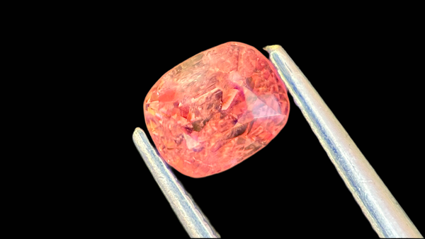 A vibrant pink gemstone held by tweezers against a black background.